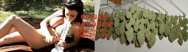 PSILOCYBIN Абаза