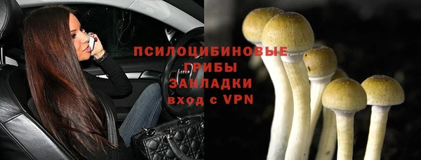 гашик Абдулино