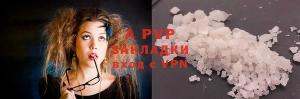 PSILOCYBIN Абаза