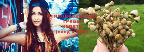 гашик Абдулино