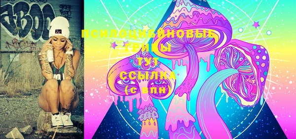 PSILOCYBIN Абаза